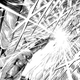 Illustration for article titled In The Latest Chapter Of... Saintia Sho (Ch.5em/em6,57)